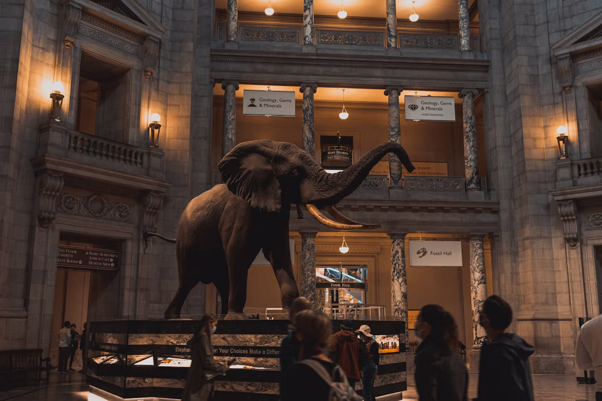 Smithsonian National Museum of Natural History