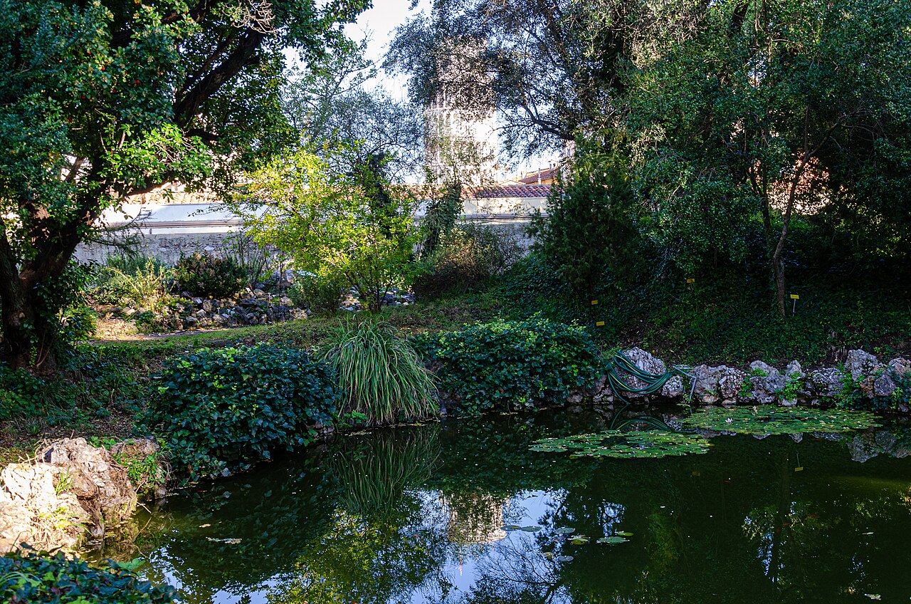 Ботанический сад Пизы